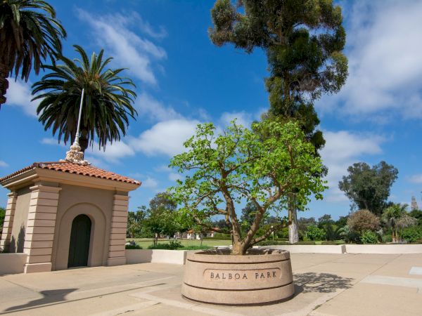 A small building with a tiled roof, palm trees, blue sky, and a tree planter labeled "Balboa Park" are in the image.