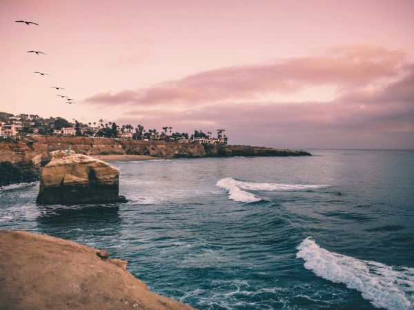 A coastal scene at sunset with a rocky shoreline, waves, birds flying, and houses in the background.