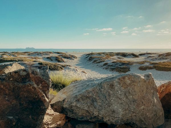 A scenic beach view with large rocks in the foreground, sand dunes, sparse vegetation, and the ocean visible in the background.