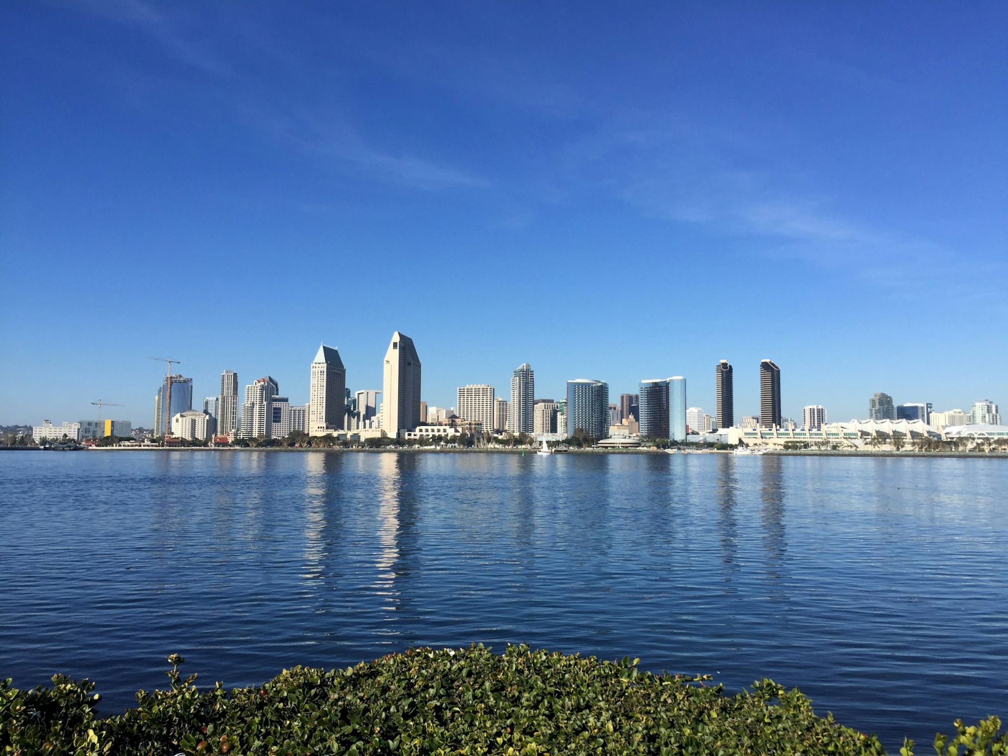A city skyline with tall buildings under a clear blue sky is reflected in the calm water, with greenery in the foreground.