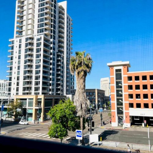 The image shows an urban scene with tall buildings, a palm tree, clear blue sky, and a street intersection.