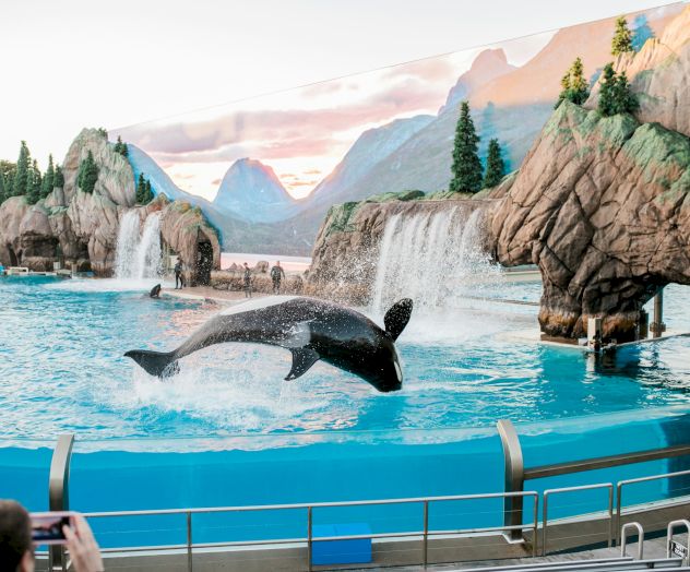 An orca is jumping out of the water in a themed aquatic park with waterfalls and rocky scenery.